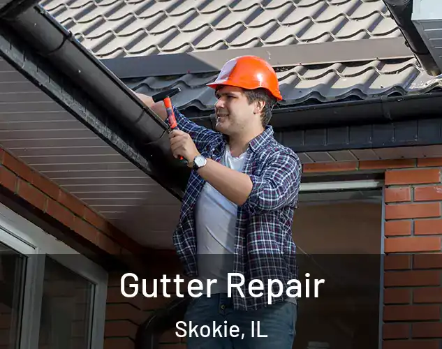  Gutter Repair Skokie, IL