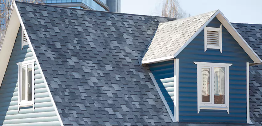 Shingle Roof Maintenance in Skokie