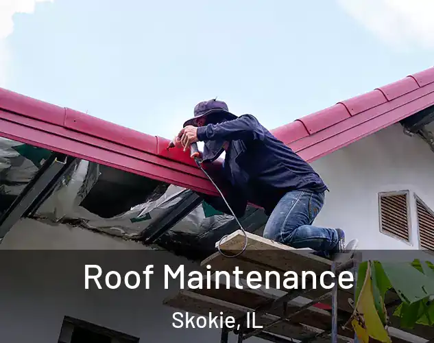  Roof Maintenance Skokie, IL