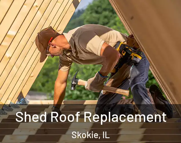  Shed Roof Replacement Skokie, IL